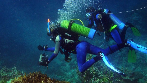 The Great Barrier Reef Marine Park Authority is to get a new chief.