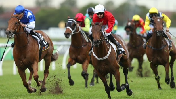 Eight races jump at Wyong on Thursday.