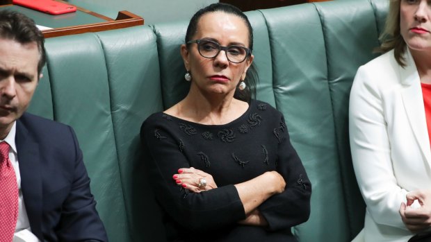Not prepared to trust the crossbench: Shadow Minister for Families and Social Services Linda Burney.