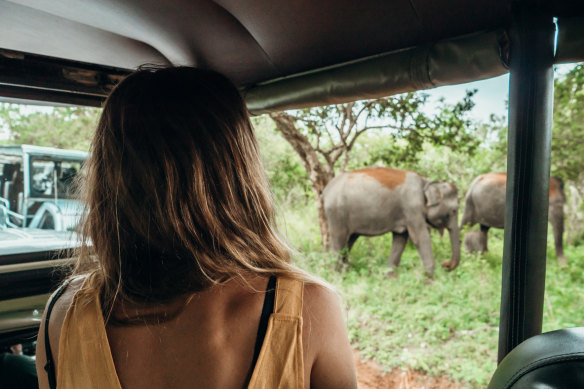 Travel is my reason for living. All I have ever wanted is to do, from the moment I could stand upright, is to explore this world.