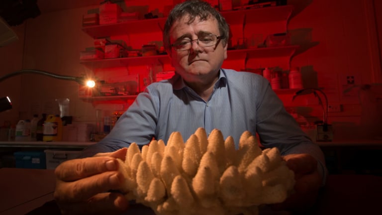  Professor Terry Hughes, head of the ARC Centre of Excellence for Coral Science Studies, James Cook University, has often been critical of government policy.