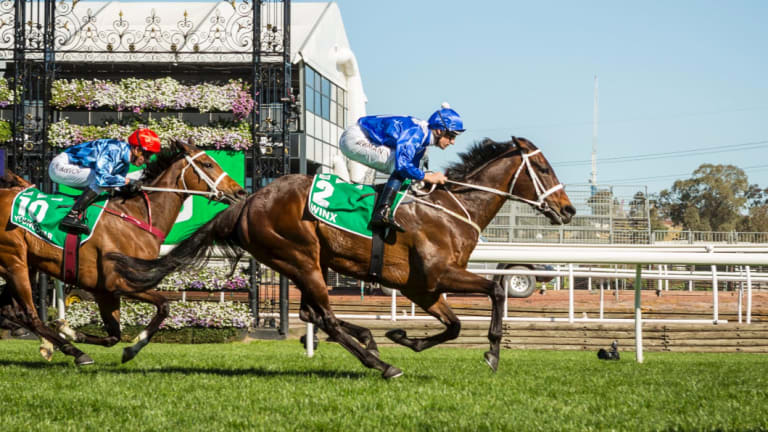 Greatness: Chris Waller says he isn't afraid of running his charges against unbeaten Winx.  