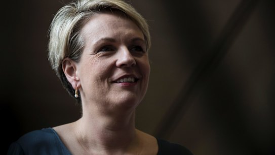 As Labor's spokesperson for women, Tanya Plibersek released a plan to improve access to abortions before the election. 