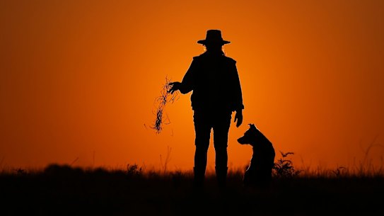Josh Frydenberg rules out stronger climate polices despite Wentworth debacle