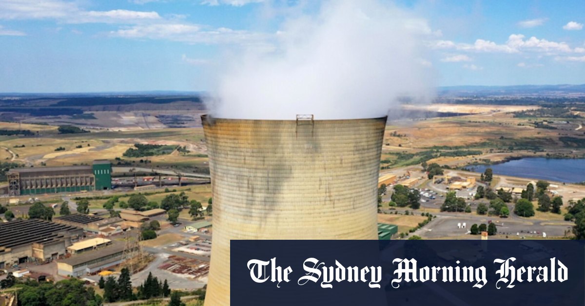 EnergyAustralia accused of misleading customers over ‘carbon-neutral’ ...