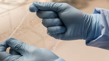 The hydrogel materials used to make the condoms mimic human skin, the Eudaemon Technologies researchers say. 
