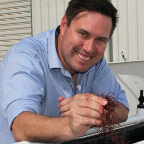 University of the Sunshine Coast biologist Dr Nick Paul has researched seaweed for 20 years.