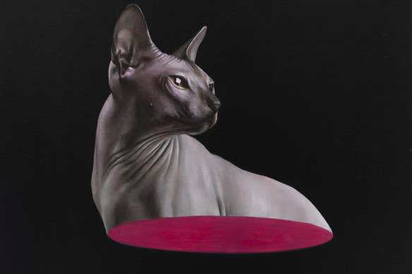 Half Cat, 2020 by Sam Leach.
Courtesy of the artist and Sullivan+Strumpf, Sydney.
