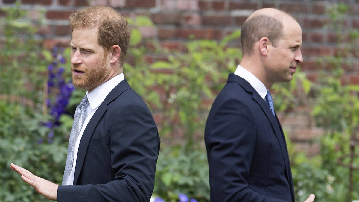 Earl Spencer’s book Swan Song will only deepen the mistrust and divide between Prince William and Prince Harry