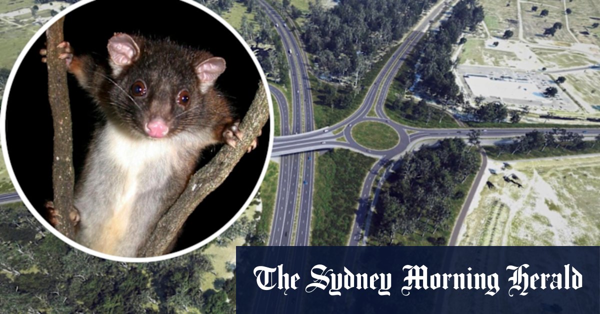 Bunbury Outer Ring Road: Federal green light given for possum-disturbing $1.25b project - Vimarsana News