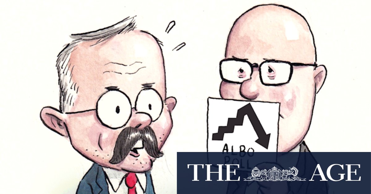 Peter Dutton Movember: Opposition leader's hairy moment shows he's a Mo Bro too - Vimarsana News