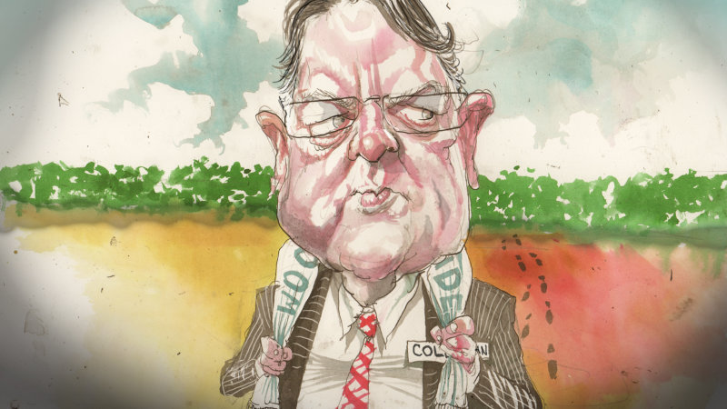 Woodside's future in technology, trees and hydrogen - The Australian Financial Review