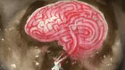 Finding a cure for Alzheimer's Disease has never been more urgent. In Australia, it is the second leading cause of death.