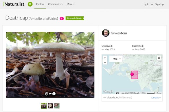 A screenshot of the post Tom May made to the iNaturalist website in May 2023.