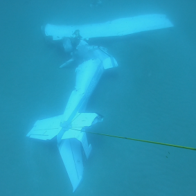 The wreckage of the plane on the ocean floor, six kilometres north-east of Moreton Island.