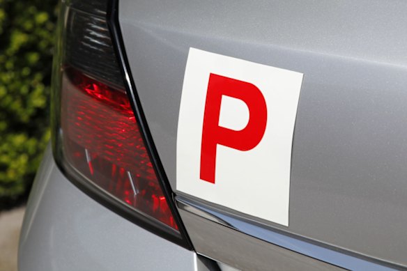 Do we need more plates to help drivers at various ages and stages?