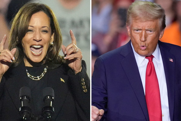 The pollsters may have thought Kamala Harris had a chance, but the markets were all in on Donald Trump.