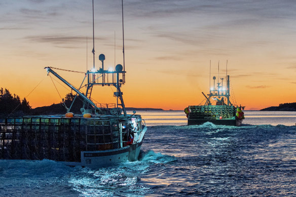 The China live export ban is crippling the Australian rock lobster industry. There are fears some fishers will not survive the winter months.