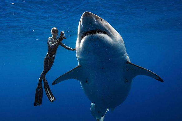 How safe do we need to be in the water?