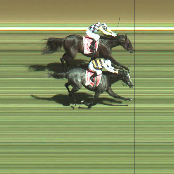 A photo finish in which Viewed pips Bauer at the post in the 2008 Cup.