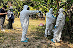Cambodia health experts spray disinfectant at a village in Prey Veng where a girl caught bird flu.