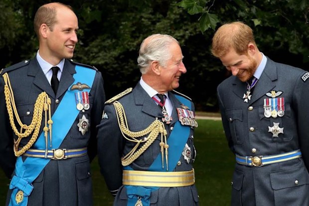 Prince Harry prevented from wearing military uniform after losing Armed Forces honours