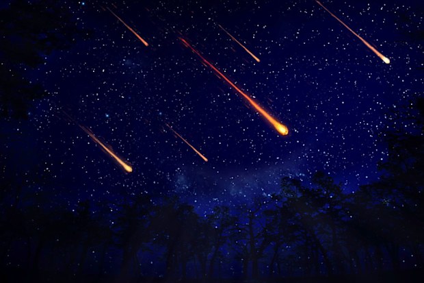 Perseid meteors, caused by debris left behind by the Comet Swift-Tuttle, began streaking across the skies in late July and will peak on the night of August 13.