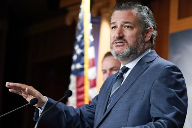 Republican Senator Ted Cruz of Texas.