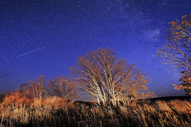 Meteors streak across the night sky during the Orionid meteor shower. Photo by Yuri Smityuk\TASS via Getty Images