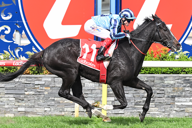 Onesmoothoperator, ridden by Craig Williams, wins the 2024 Geelong Cup.