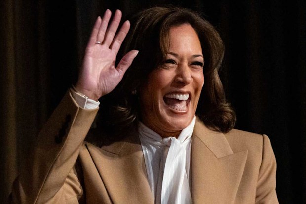 Vice President Kamala Harris is considering running for the top job in 2028.