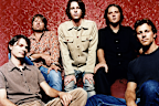 Are Powderfinger reuniting?