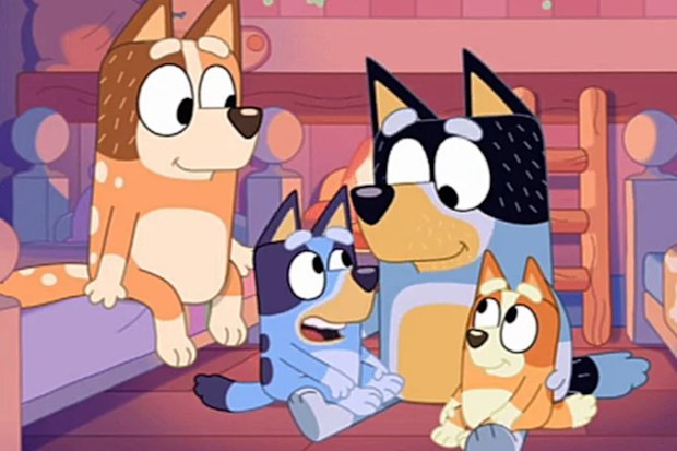 Bluey family (L-R) Chilli, Bluey, Bandit, Bingo.