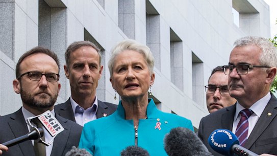 The lower house crossbench will decide the bill's fate next week.