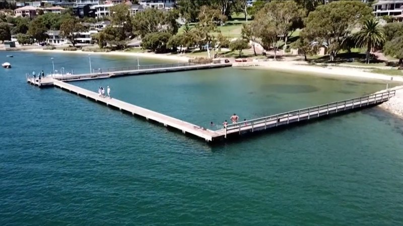 New Swan River shark barrier design revealed