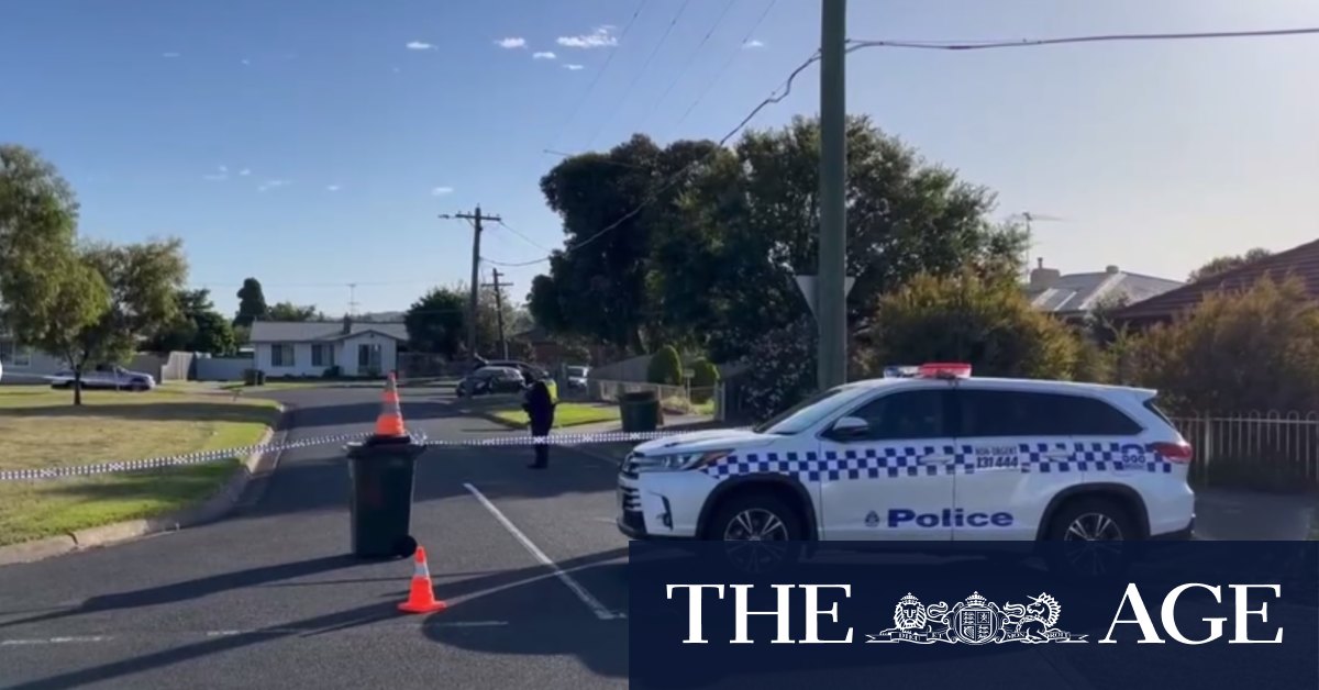 Man shot by police following alleged carjacking - Vimarsana News