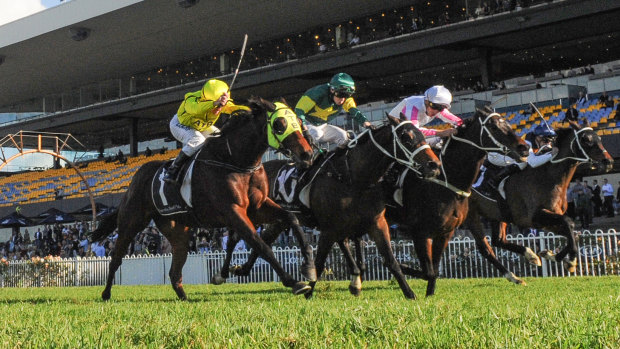 Kiss off: Sam Clipperton (white cap) punches Destiny’s Kiss  through the middle to win the Winter Cup.