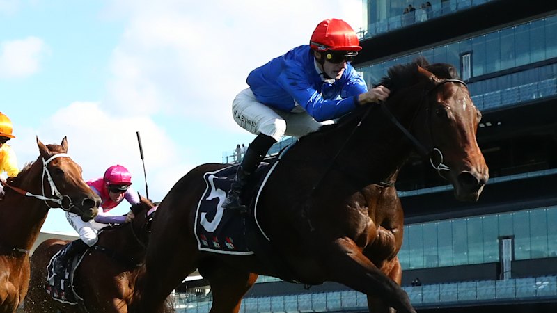 Mare will improve with this run after long spell: trainer