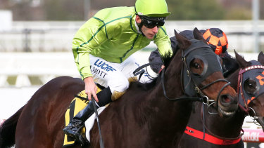 Self Sense wins during Bletchingly Stakes Day at Caulfield last year.