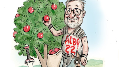 Albanese’s spin doctor retires for a life on the farm