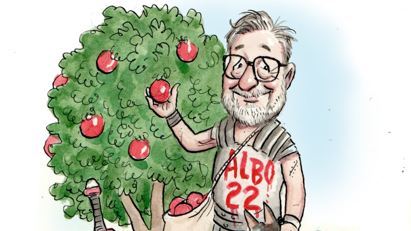 Albanese’s spin doctor retires for a life on the farm