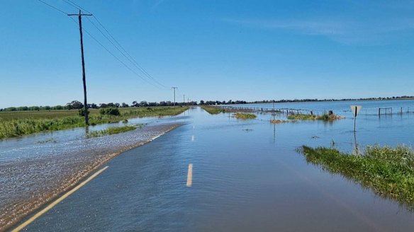 Flooded farmland outside Echuca.