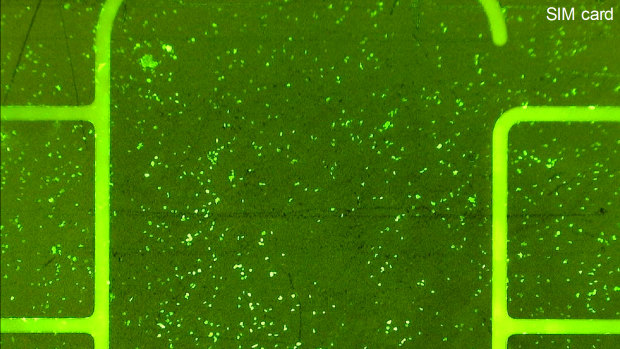 A person touched a sim card for 15 seconds and passed on their DNA. The sim card was stained and within 10 seconds a cellular material (seen as green dots) is apparent. Each green dot is a source of DNA and shows that the item was held. This is at 50x magnification. 