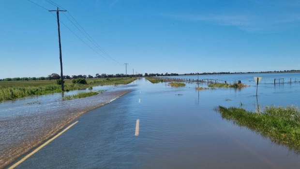 Flooded farmland outside Echuca.