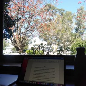 Working view from John Curtin house.