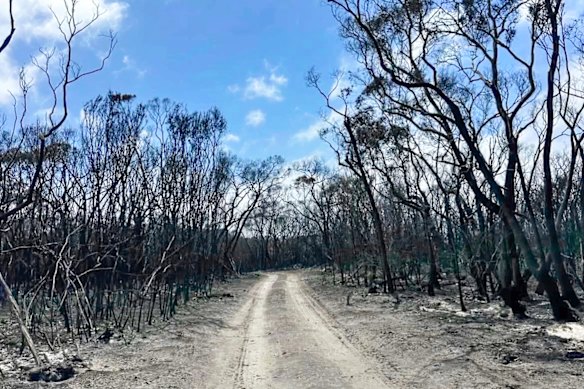 Os serviços de emergência estão muito preocupados com a forma como o cenário do incêndio pode piorar após uma mudança no vento.
