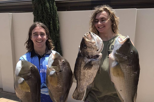 Louis Eeles and Matthew Farr, both 22,  died in a crash while on a camping trip north of Geraldton.