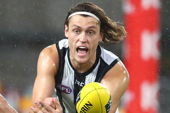 Going nowhere: Darcy Moore is committed to the Pies.
