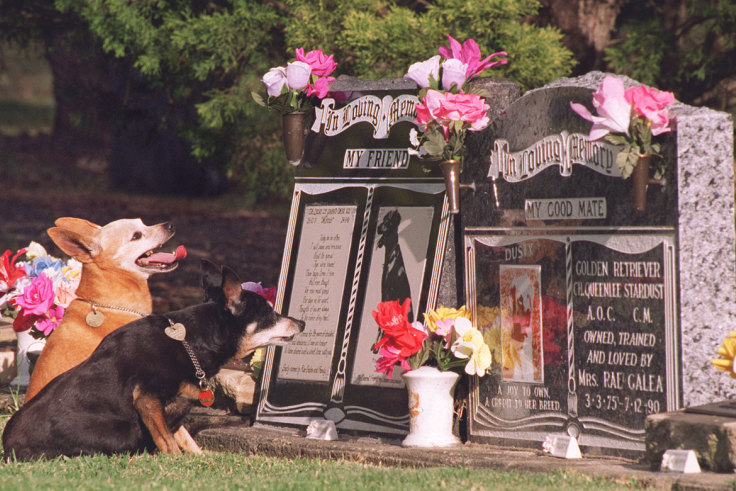 Pet funerals shop near me