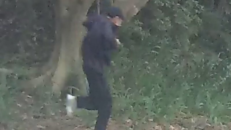 Arrest in hunt for man who roamed Dulwich Hill with sawn-off shotgun